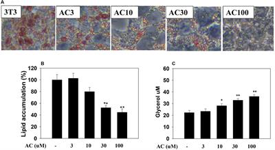 Acacetin from Traditionally Used <mark class="highlighted">Saussurea involucrata</mark> Kar. et Kir. Suppressed Adipogenesis in 3T3-L1 Adipocytes and Attenuated Lipid Accumulation in Obese Mice